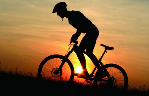 怎樣挑選適合你的老板?