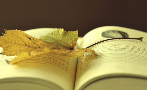 求職路上不要踩到這些雷區