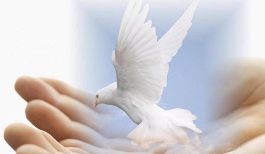 為什么求職失敗?來找找失敗的原因