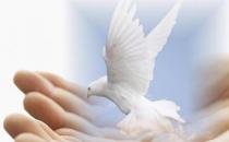 為什么求職失敗？來找找失敗的原因