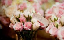 面試時展示你的職業風采