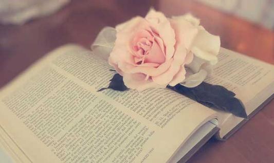 求職要學會全方位的包裝自己