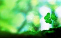 求職遇到挫折如何正確看待？