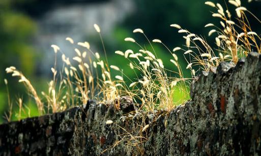 職場新人這樣才能快速融入新環(huán)境