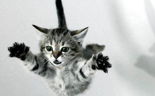 職場(chǎng)跳槽必備指南:巧吃回頭草