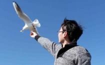 擁有這些心態更容易找到好工作