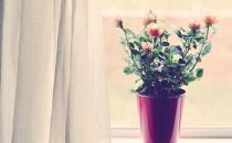 女強人愛發(fā)脾氣 如何擁有好心情？