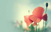 盤點(diǎn)職場新人的快樂：細(xì)心聆聽為聰明之本