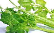 你知道哪些食物會殺精嗎？