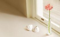 揭秘不同職業的心理問題