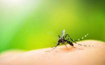 夏季防蚊蟲叮咬的知識(shí)