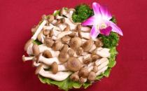蟹味菇的營養(yǎng)價值 蟹味菇的做法大全