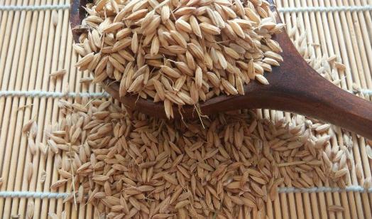 胚芽米適合哪些人吃?胚芽米的功效