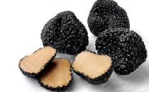 塊菌的簡介 塊菌的食譜