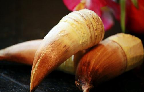 毛竹筍有什么功效?毛竹筍的做法