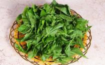 桑葚是寶 桑葚怎么吃最好？