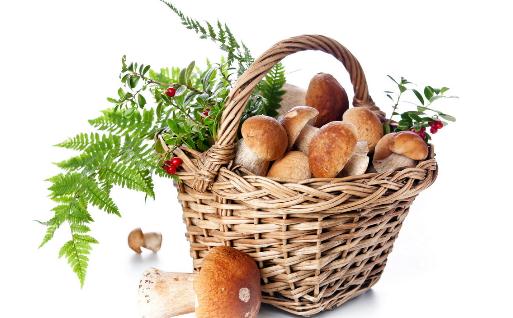 盤點(diǎn)那些藏在皮中的營養(yǎng)食物