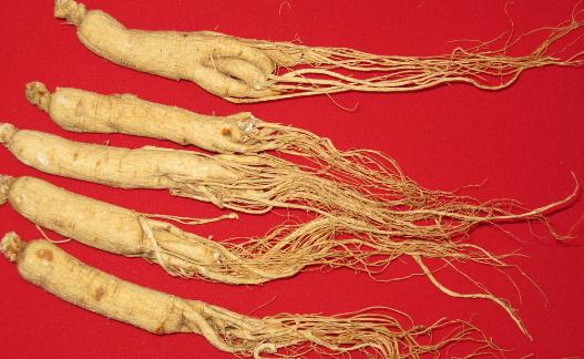 開車前不宜吃哪些藥物?