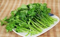 芫荽是什么？芫荽怎么做好吃？