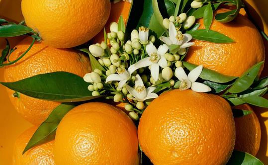 水果雖好 多食有什么危害?