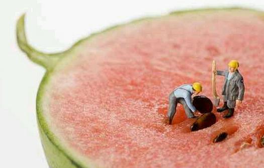 嫁接的西瓜不能吃嗎?