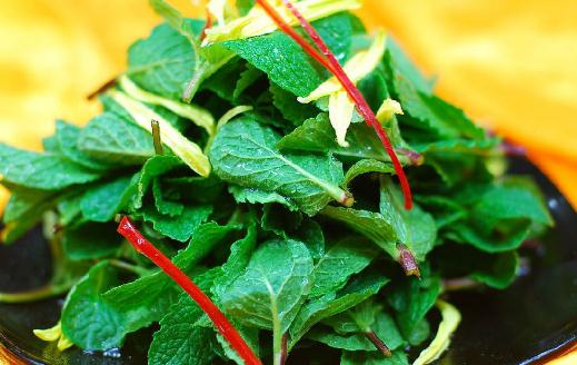 吃野菜有哪些注意事項