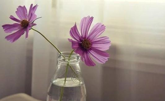 七夕將至 什么時候最適合表白?