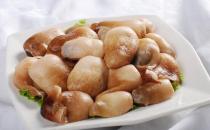 草菇的營養價值和藥用功效