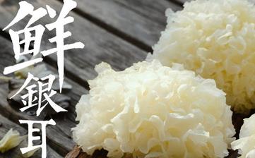 【銀耳】_銀耳的營養價值,銀耳的功效,銀耳怎么做,銀耳的做法大全 【銀耳】_銀耳的營養價值,銀耳的功效,銀耳怎么做,銀耳的做法大全