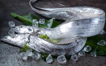 【帶魚】_帶魚的營養價值,帶魚怎么做好吃,帶魚的家常做法大全