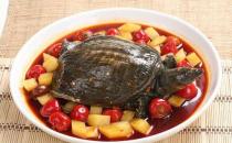 甲魚的營養價值 男人怎么吃最有營養
