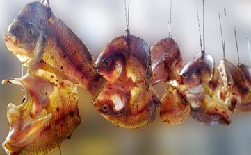 【咸魚】_咸魚的腌制方法,咸魚怎么做好吃,咸魚的做法大全