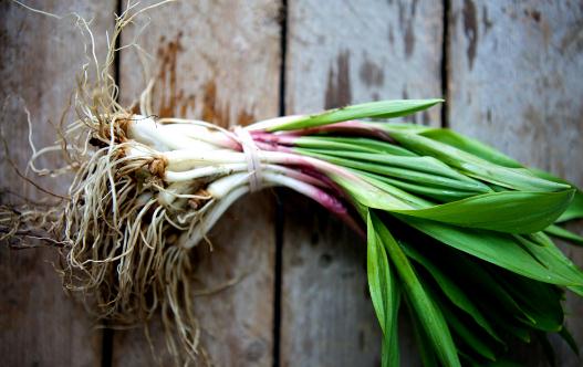 如何吃蔥營養最佳?