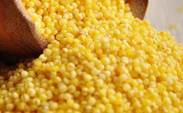 【小米】_營養價值,功效與作用,怎么吃,做法,適用人群,食用禁忌 【小米】_營養價值,功效與作用,怎么吃,做法,適用人群,食用禁忌