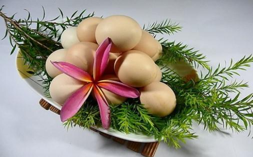 吃什么食物能夠提高免疫力?