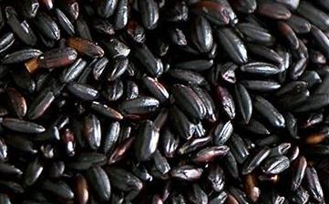 【黑米】_營養(yǎng)價(jià)值,功效與作用,怎么吃,做法大全,適用人群,食用禁忌 【黑米】_營養(yǎng)價(jià)值,功效與作用,怎么吃,做法大全,適用人群,食用禁忌