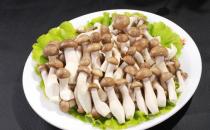 鮮味會讓人胃口更好嗎？