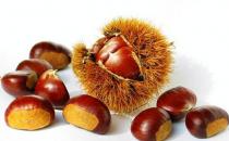 板栗如何保存？板栗的做法