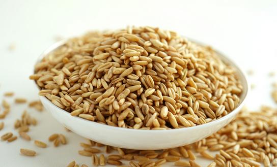 購買燕麥還是燕麥片比較好？