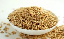 購買燕麥還是燕麥片比較好？