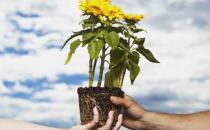 ?鄰里關(guān)系好會(huì)給我們帶來(lái)哪些好處？