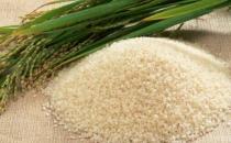 用塑料瓶存大米可以預(yù)防生蟲