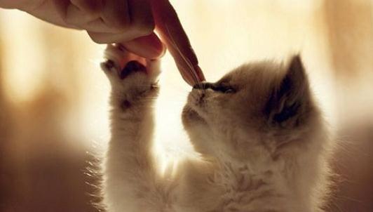 教你如何養成不抱怨的好習慣