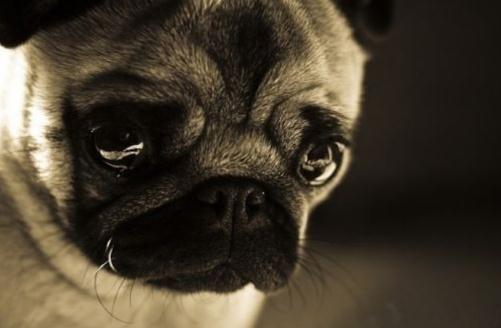 焦慮癥的最佳治療方法