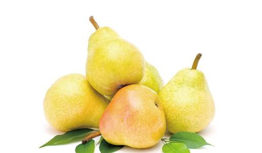 如何吃梨能止咳?