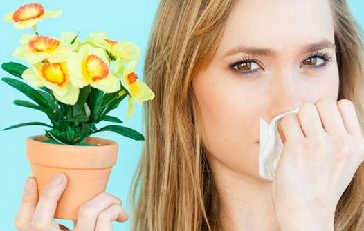 過敏性鼻炎患者的藥膳方