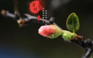 【清明節(jié)氣】清明是幾月幾日_清明吃什么_清明養(yǎng)生_清明是什么意思 【清明節(jié)氣】清明是幾月幾日_清明吃什么_清明養(yǎng)生_清明是什么意思