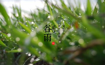 【谷雨節(jié)氣】谷雨是幾月幾日_谷雨吃什么_谷雨養(yǎng)生_谷雨是什么意思 【谷雨節(jié)氣】谷雨是幾月幾日_谷雨吃什么_谷雨養(yǎng)生_谷雨是什么意思