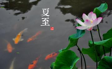 【夏至節氣】夏至是幾月幾日_夏至吃什么_夏至養生_夏至是什么意思 【夏至節氣】夏至是幾月幾日_夏至吃什么_夏至養生_夏至是什么意思