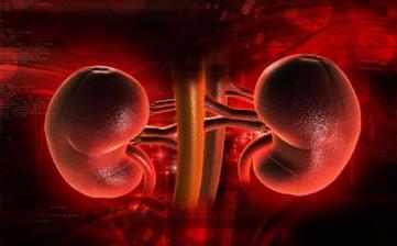 【補腎】男人補腎_女人補腎_吃什么補腎_補腎食物_怎么補腎 【補腎】男人補腎_女人補腎_吃什么補腎_補腎食物_怎么補腎